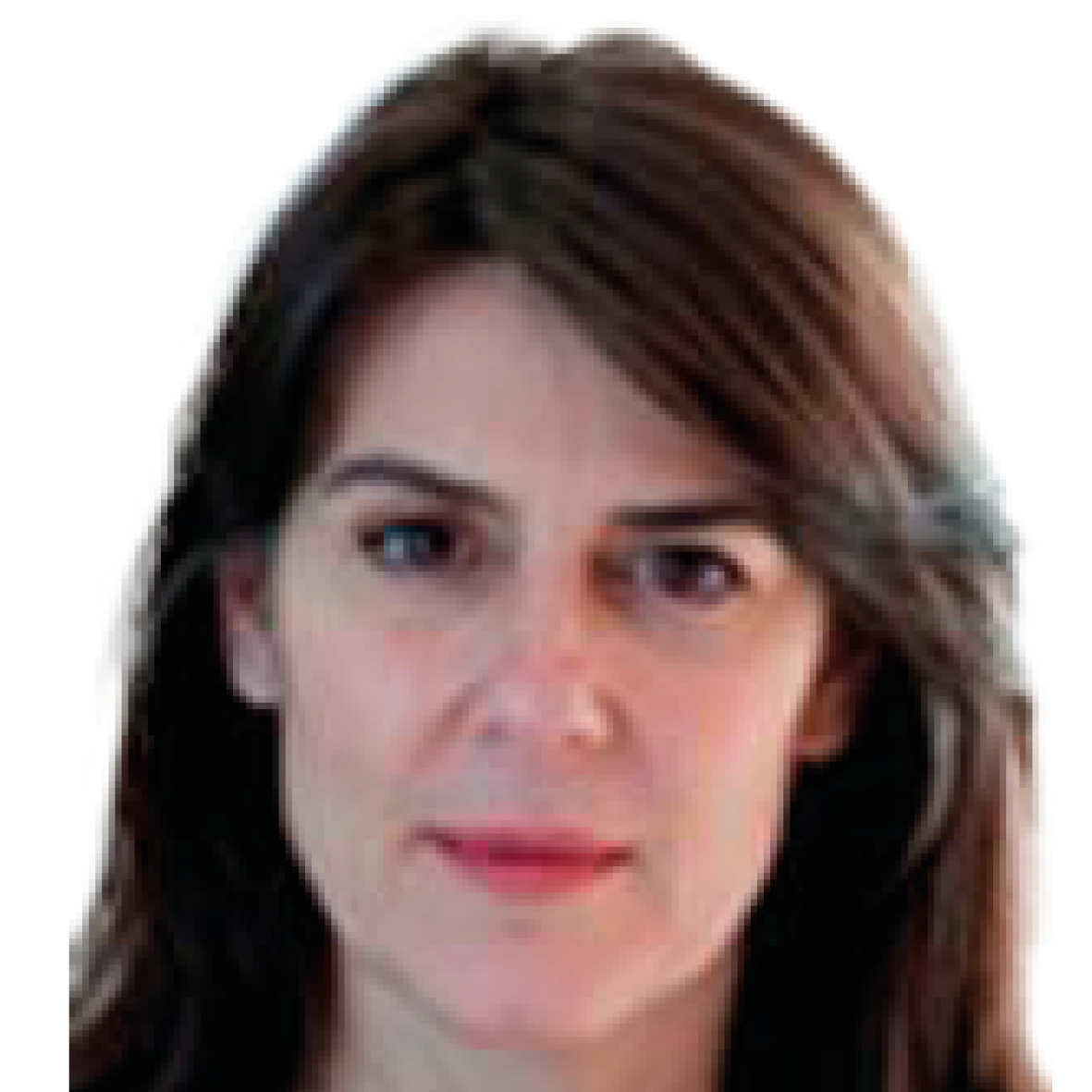 Herminia Ibarra, Professor of Organisational Behaviour, London Business School